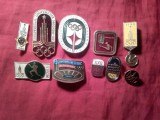 Set 10 Insigne URSS - -Olimpiada din Moscova 1980 - metal si email