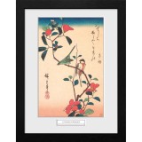 Poster cu Rama Hiroshige - Japanese White-eye and Ti (30x40), GB Eye