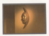 FA46-Carte Postala- GERMANIA - Koln, necirculata 2005, Circulata, Fotografie