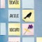 Toate acele locuri minunate - de Jennifer Niven