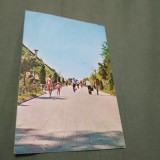 Cumpara ieftin CARTE POSTALA NECIRCULATA CALAFAT-SPRE FALEZA