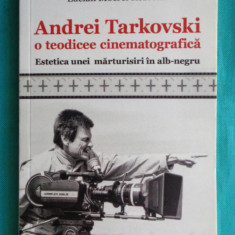 Lucian Mocrei Rebrean – Andrei Tarkovski o teodicee cinematografica