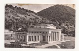 RF104 - Carte Postala - Baia Mare, Teatrul de vara, necirculata