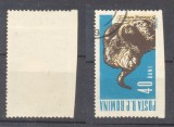 ROMANIA 1962 Animale domestice 40 bani berbec eroare nedantelata pe latura de jos, la marginea de coală, stampilata