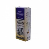 Tinctura Dragaica NATURA PLANT POIENI, 200ml - Remediu Natural, Detoxifiere, Sistem Limfatic, Energie