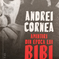 Amintiri din epoca lui Bibi