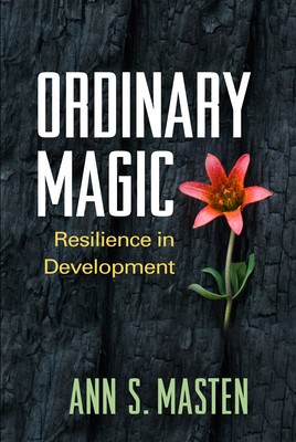 Ordinary Magic: Resilience in Development foto