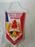 bnk div Fanion Organizatia Pionierilor Consiliul Judetean Botosani