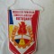 bnk div Fanion Organizatia Pionierilor Consiliul Judetean Botosani
