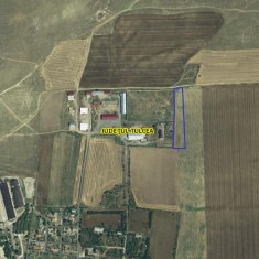 Vand terent extravilan Casimcea Tulcea