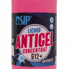 Antigel Osip G12+ Concentrat 1L