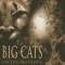 Big Cats: Facing Britain&#039;s Wild Predators