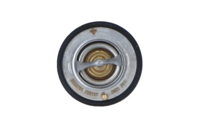 NRF 725107 EASY FIT termostat,lichid racire foto