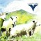 CD Laibach &ndash; Volk 2006