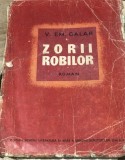 LITR5 Literatura. Zorii Robilor - Roman
