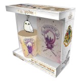 Set Cadou Harry Potter Cana 250 ml + Breloc PVC + Notebook Hogwarts, Abystyle