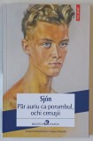PAR AURIU CA PORUMBUL , OCHI CENUSII , roman de SJON , 2022