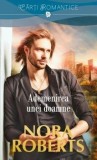 Cumpara ieftin Ademenirea unei doamne/Nora Roberts, Lira