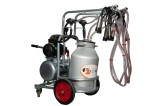 Cumpara ieftin Aparat de muls vaci EMT galvanizat, un bidon aluminiu 40 litri, 2 posturi( uscat)