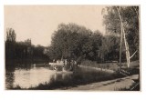 CPI B 10801 CARTE POSTALA - PARCUL BIBESCU , BUCURESTI, Necirculata, Fotografie
