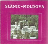 Slanic-Moldova - Francisc Anghelus