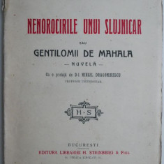 Nenorocirile unui slujnicar sau Gentilomi de mahala (Nuvela) – Nicolae Filimon