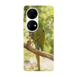 Husa compatibila cu Huawei Nova 9 model Macaw snack, Silicon, TPU, Viceversa
