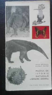 myh 546s - BACESCU - MAYER - MUZEUL DE ISTORIE NATURALA GRIGORE ANTIPA - ED 1967 foto