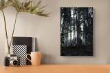 Tablou Canvas, "Lumina printre copacii pădurii tăcute", Pădure, Lumină, Copaci, Mister, Umbre, Natură, Tranquilitate, Aventură, 26 x 39 cm, CMCLASS