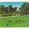 AT6 -Carte Postala-AUSTRIA- Essen, Gruga-Park, circulata 1969