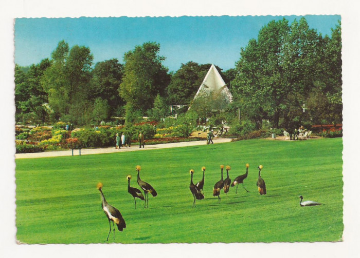 AT6 -Carte Postala-AUSTRIA- Essen, Gruga-Park, circulata 1969