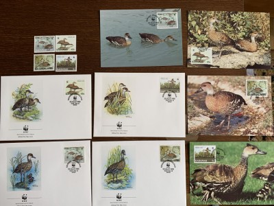 bahamas - pasari- serie 4 timbre MNH, 4 FDC, 4 maxime, fauna wwf foto