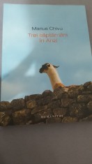 Marius Chivu - Trei săptăm&acirc;ni &icirc;n Anzi