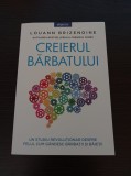 Louann Brizendine - Creierul barbatului