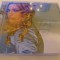 Madonna- ray of light, es