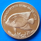 Maluku Islands 5 rupie 2017 UNC Peste Pomacanthus semicirculatus