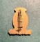Insigna CTA Romania - 2