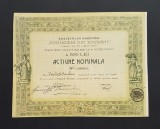 Actiune 1919 Economia din Focsani / titlu / actiuni