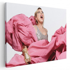 Tablou afis Lady Gaga cantareata 2371 Tablou canvas pe panza CU RAMA 70x100 cm foto