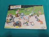 REVISTA ARICI POGONICI *NR. 2 1957 * 900