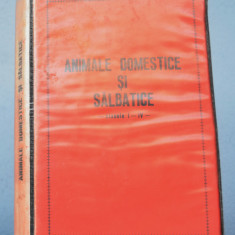 lot 48 diapozitive RSR -Animale domestice si salbatice 1986