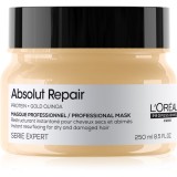 L&rsquo;Or&eacute;al Professionnel Serie Expert Absolut Repair masca profund reparatorie pentru păr uscat și deteriorat 250 ml