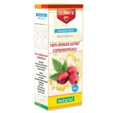 Ulei de Macese 100% Presat la Rece Dr Herz - 20 ml, pentru Ten, Anti-Rid, Regenerare Piele