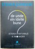 De unde vin ideile bune - Stephen Johnson, Publica 2011, Psihologie, 336 pagini