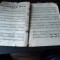 Foto  - 2