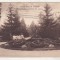 bnk cp Baile Felix - Parte din parc - uzata 1927
