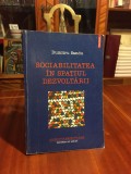 Dumitru Sandu - SOCIABILITATEA IN SPATIUL DEZVOLTARII (2003)