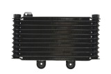 Radiator pentru SUZUKI GSF 600/650 1995-2006