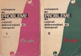 Lia Arama, Teodor Morozan - Culegere de probleme de calcul diferential si