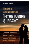 Tinerii si sexualitatea. Intre iubire si pacat - Danion Vasile